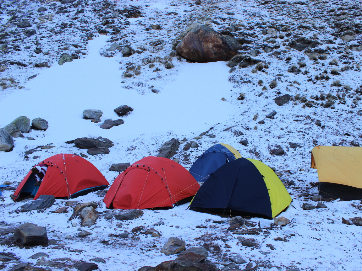 Kedar Tal - 2014..JPG