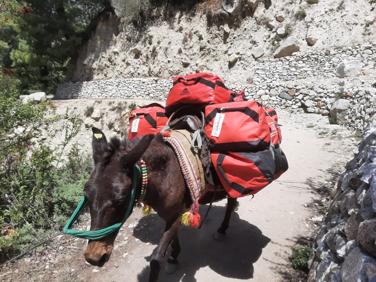 WhatsApp Image 2025-05-05 at 20.25.11_d324ae61.jpg