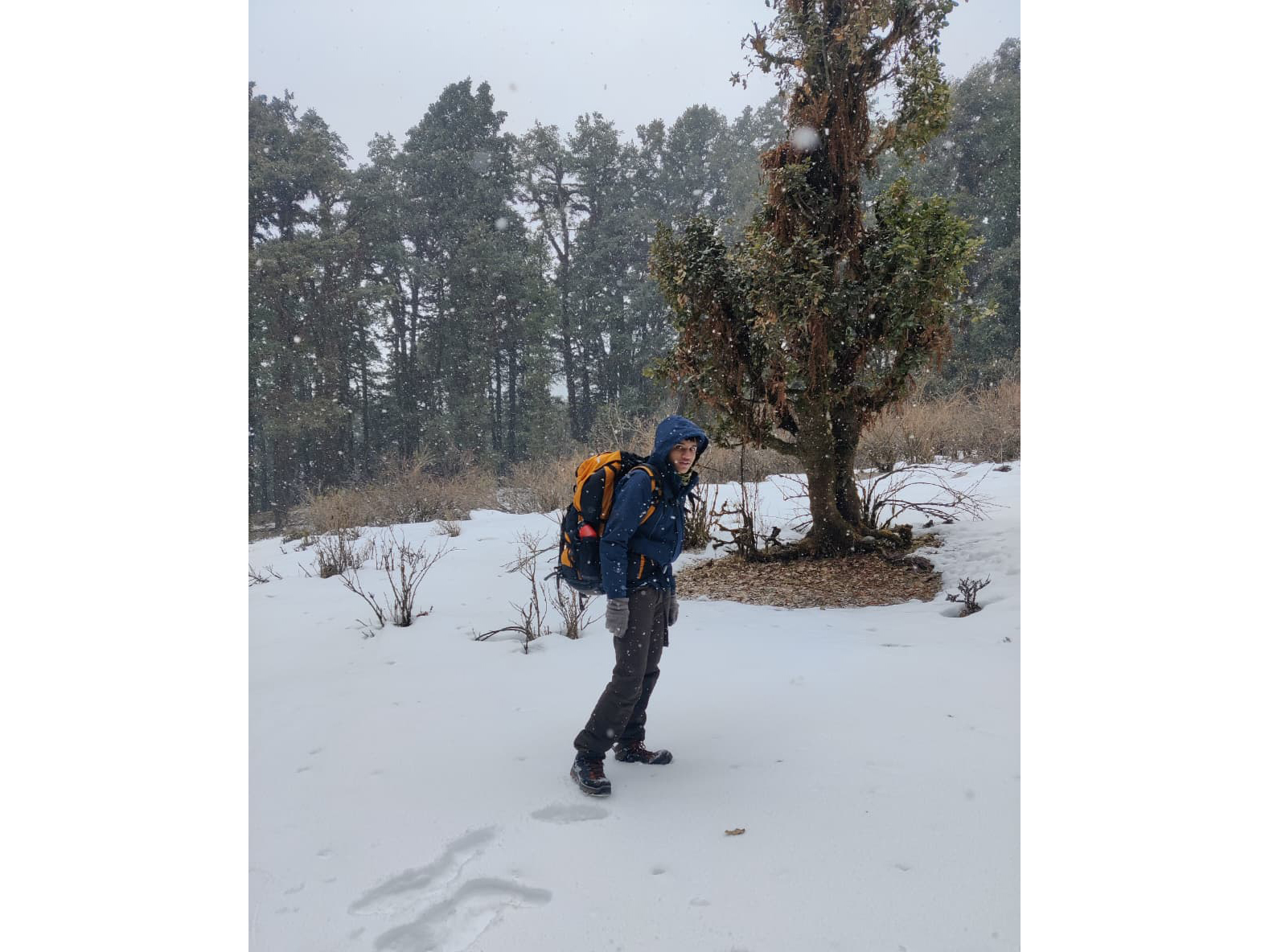 WhatsApp Image 2025-10-13 at 17.50.56_0dcf31e5.jpg