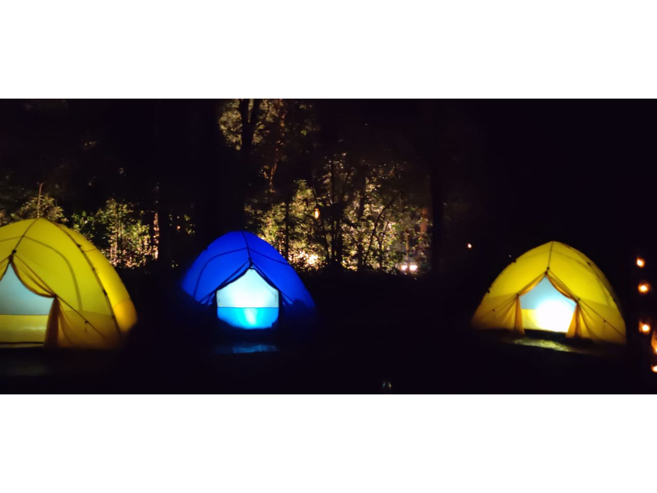 WhatsApp Image 2025-05-05 at 6.04.05 PM (1).jpeg