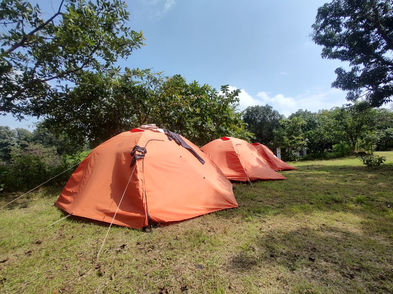 WhatsApp Image 2025-10-13 at 18.07.24_bb1d9192.jpg