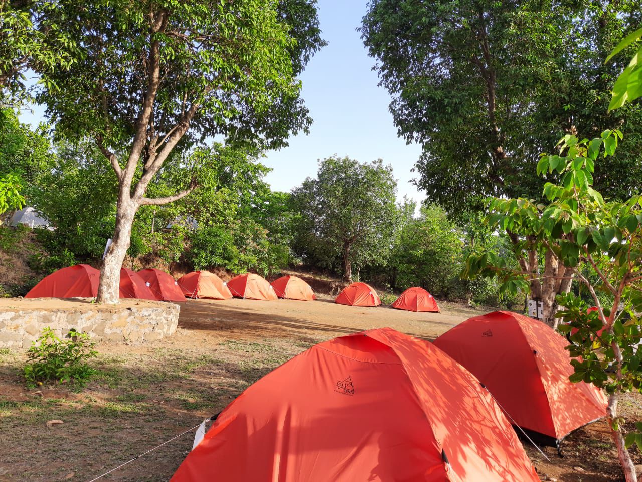 WhatsApp Image 2025-10-13 at 18.10.06_048d5395.jpg